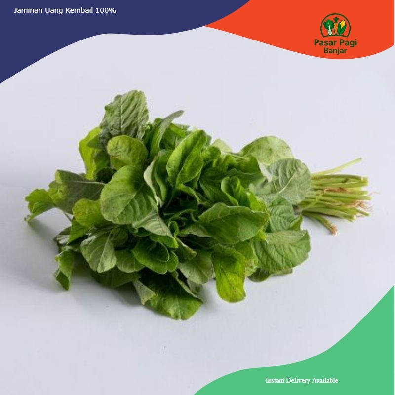 

Bayam Segar Per Ikat Besar