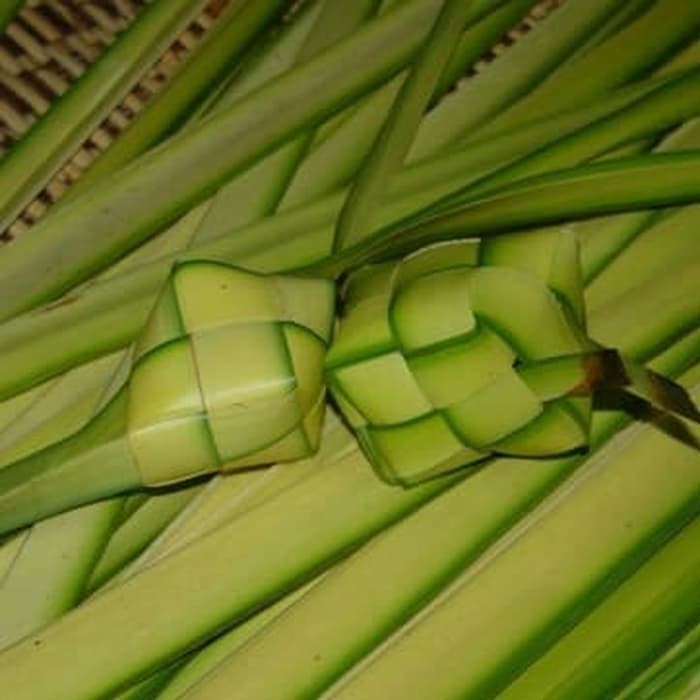 Daun janur kelapa/kupat