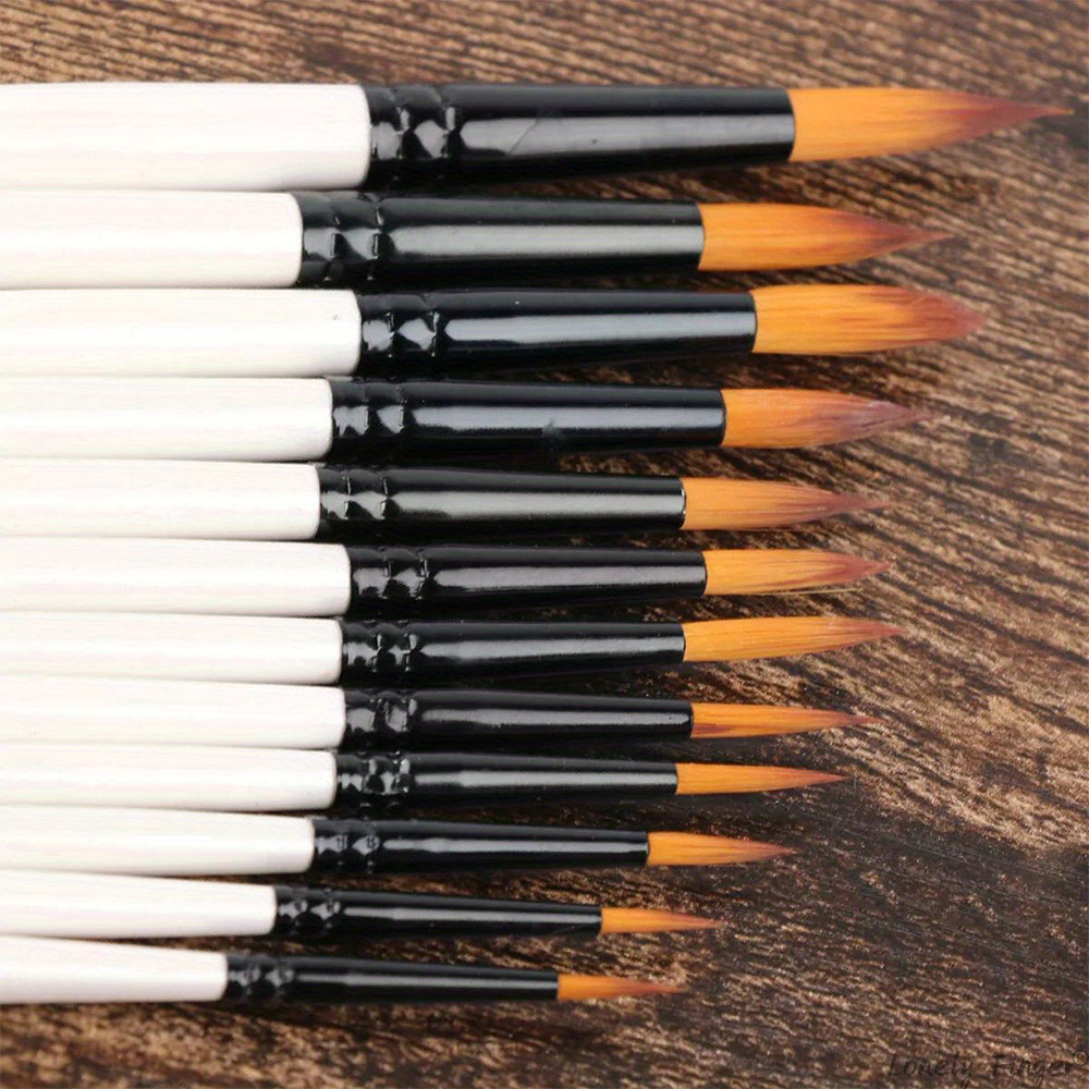

12 PCS Round Paint Brushes Set, Artist Brush for Acrylic Oil Watercolor Gouache Artist Professional Painting Kits