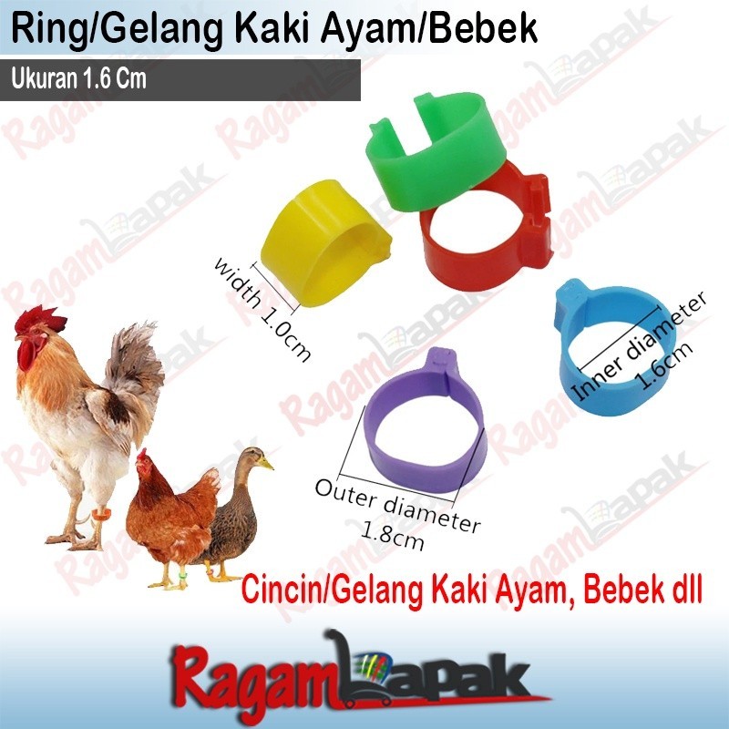 (RLS) Ring Kaki Ayam Bebek Gelang Kaki Ayam Bebek
