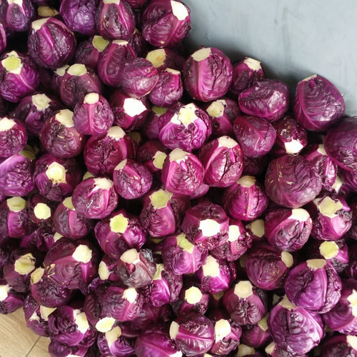 

Sayur Kol Ungu Sayuran Segar 250gr