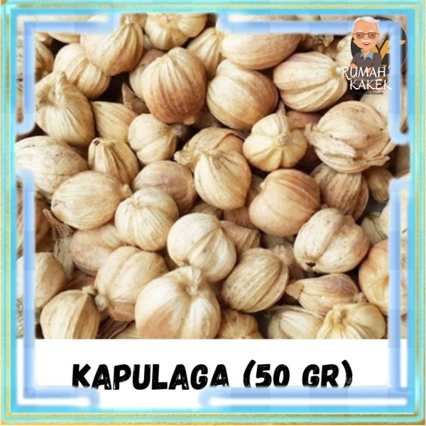 

Biji Kapulaga Cardamom isi 50 Gram Bumbu Rempah Kapolaga Kapulada Kering Alami Biji Kapulaga Utuh Masak Rempah Dapur Obat Alami Herbal TERMURAH TERLARIS