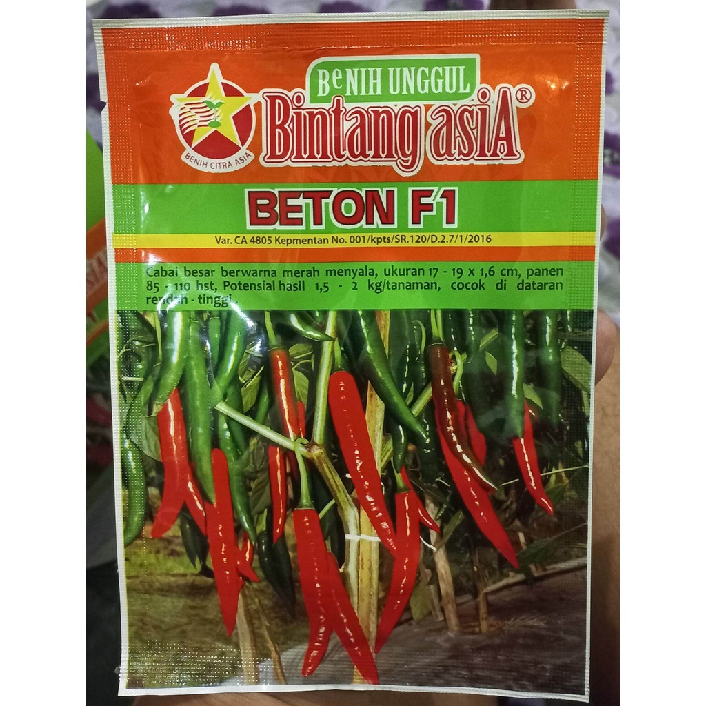 Benih Cabe Besar BETON F1 10 Gram Bintang Asia