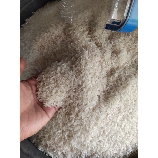 

beras putih beras pulen 1 kg