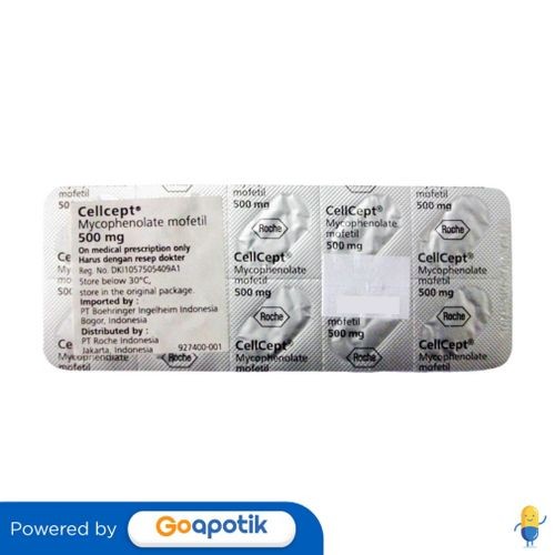 Cellcept 500 Mg Strip 10 Kaplet