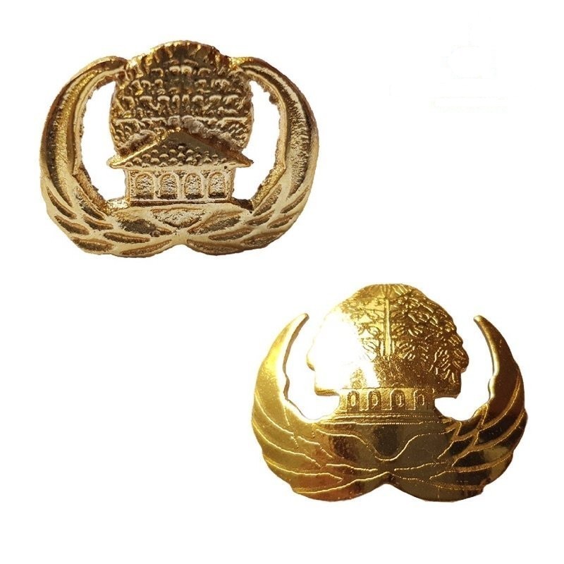 Pin Korpri ASN Resin / Cor