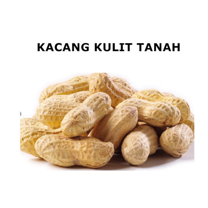 

KACANG TANAH MENTAH DENGAN KULIT 1 KG