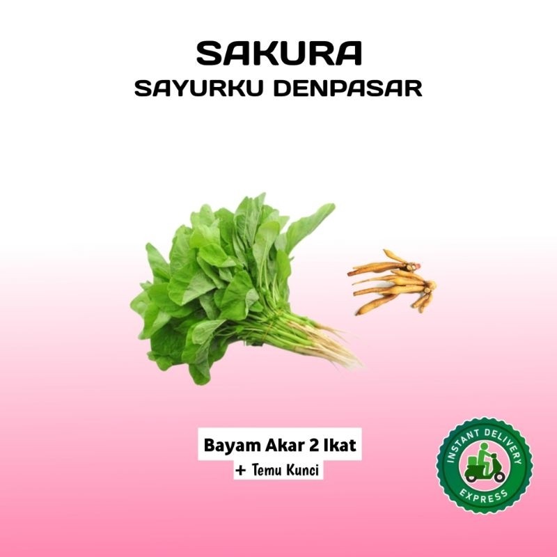 

New Sayur Bayam Akar 2 Ikat (Paket Temu Kunci) - SAKURAPremium