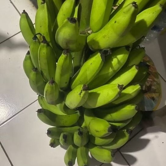 

Buah Pisang Mentah DW Cham KG Pisang Bangkaulu Fresh