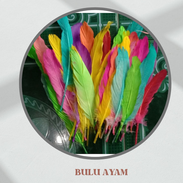 Umpan Kotrekan Bulu Ayam