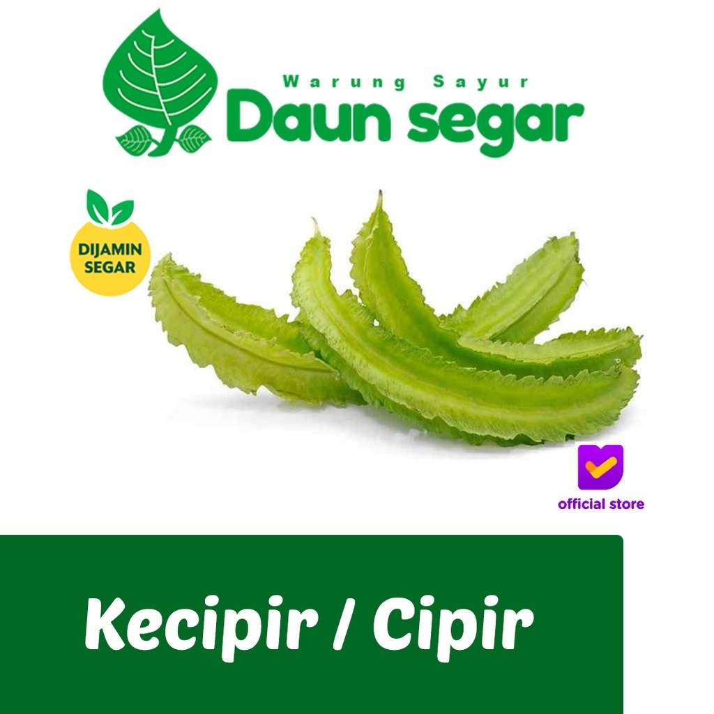 Kecipir sayur kecipir sayur sayuran segar Kecipir panjang Kecipir hijau Cipir Murah per pack