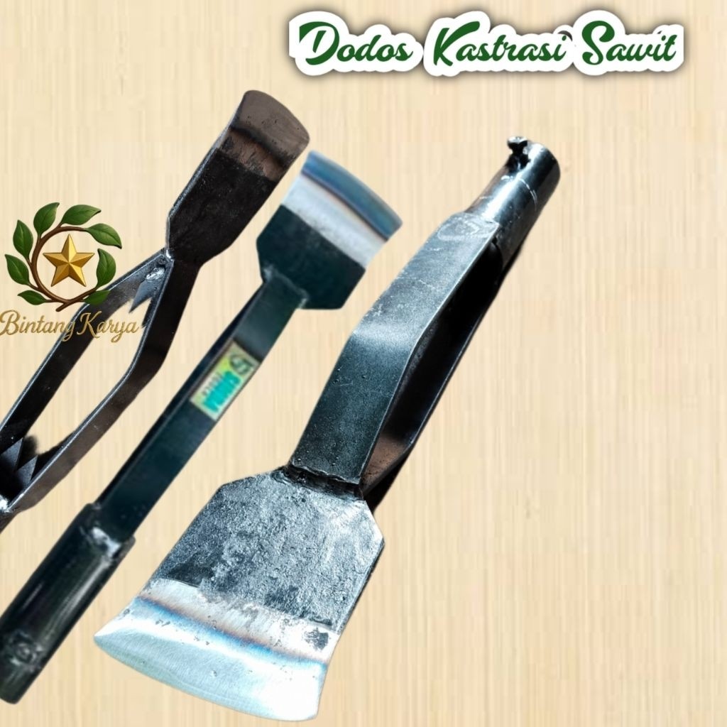 Kyoolaa Dodos Kastrasi Asli Baja Per - Dodos Sawit - Dodos Per Baja