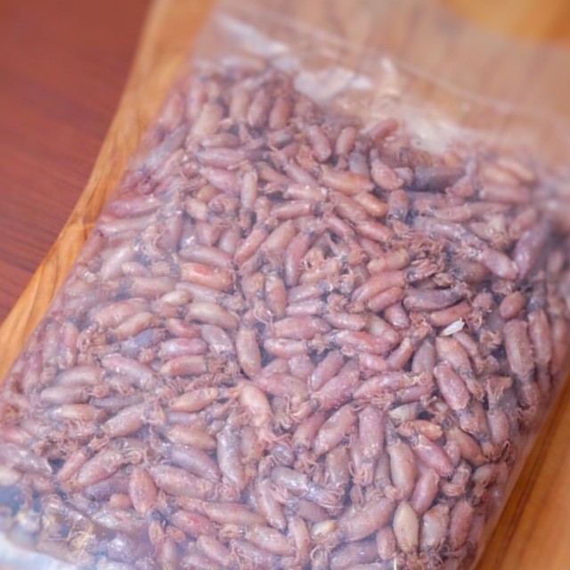 

Balita Cumi Asin (3-4cm)berat 1KG