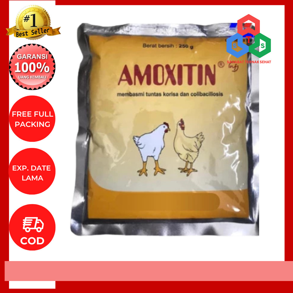 Amoxitin 250 gram MEDION obat korisa