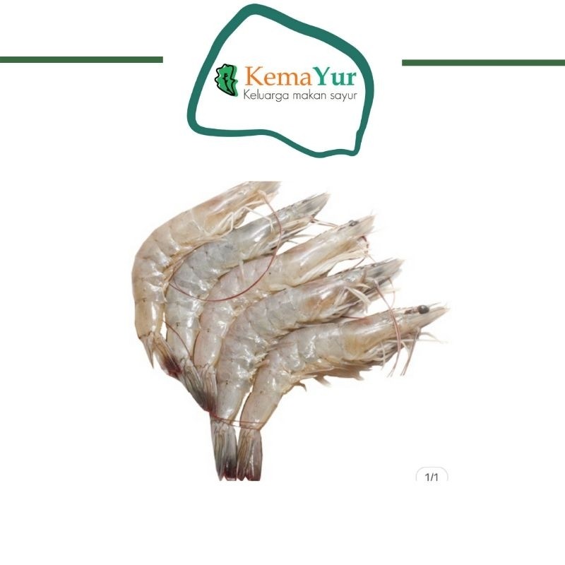 

UDANG VANAME SZ SEDANG 100 GR