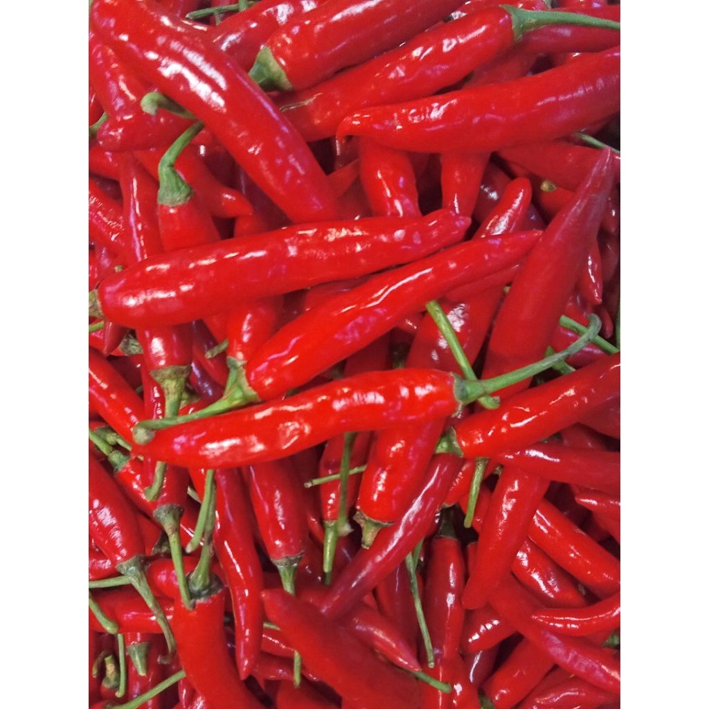 

Paket cabe merah besar 1kg