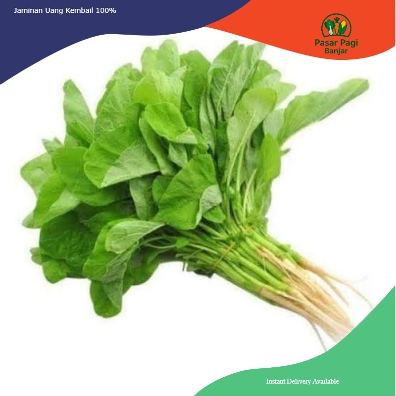 

Bayam Segar Per Ikat Kecil