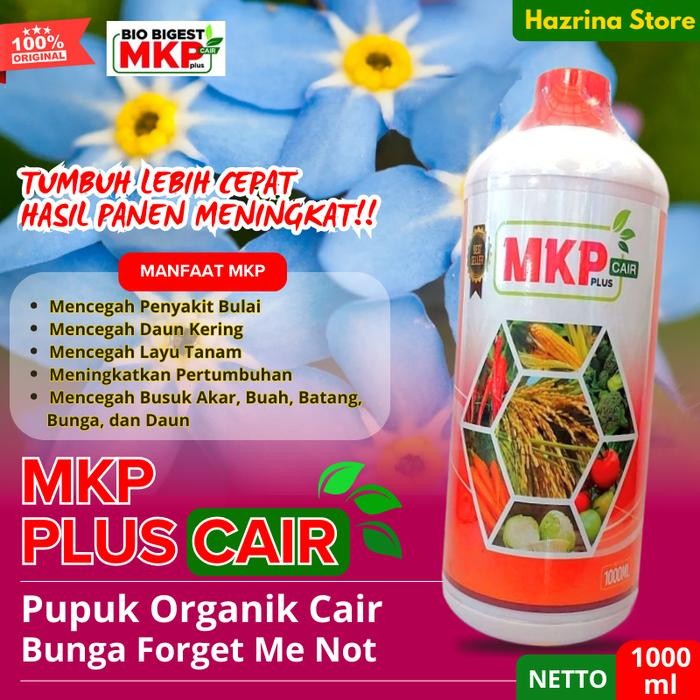 Pupuk Organik Cair MKP Pelebat Bunga Forget-Me-Not, Terbaik & Alami