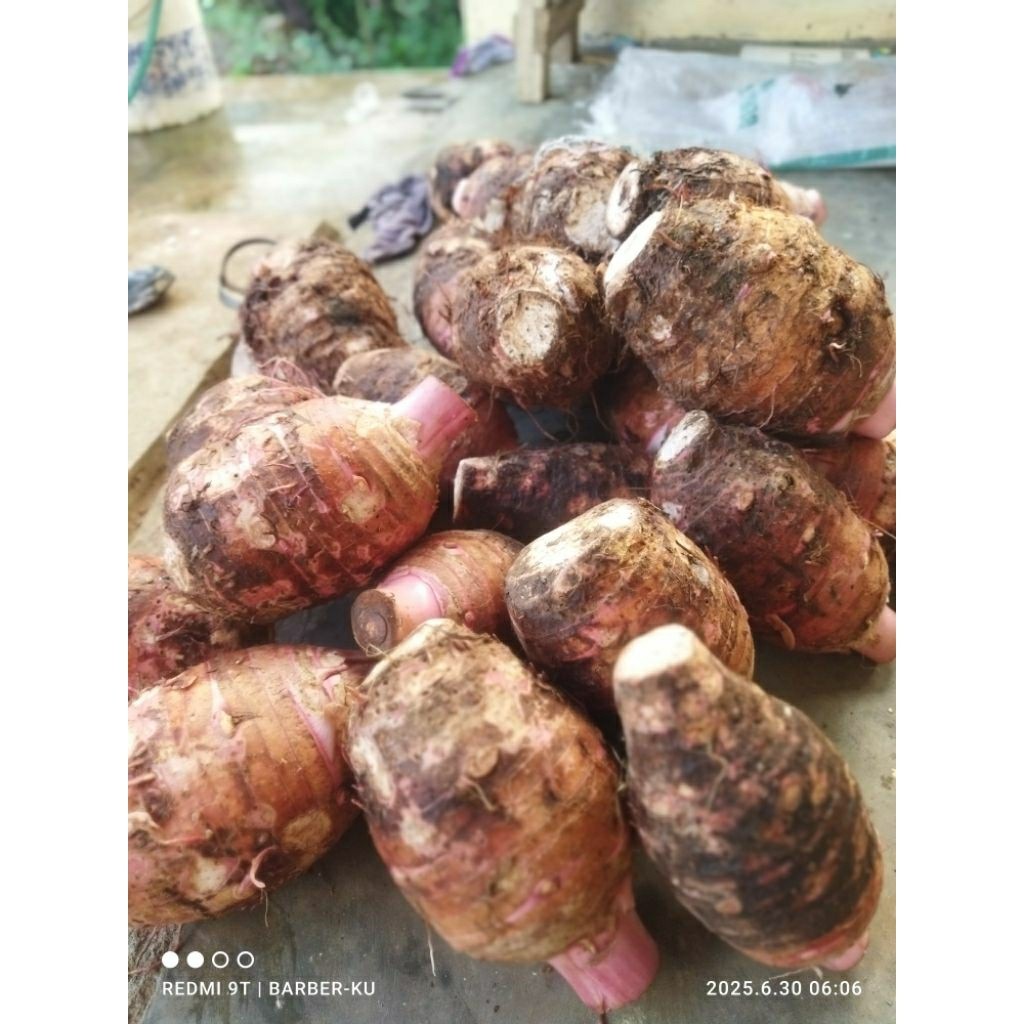 

umbi talas ungu Pratama 3, super pulen , tekstur lembut1kg isi 1-3pcs