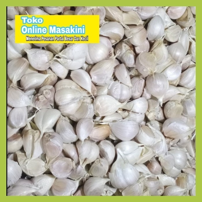 

Bawang Putih Kating 1kg Terlaris