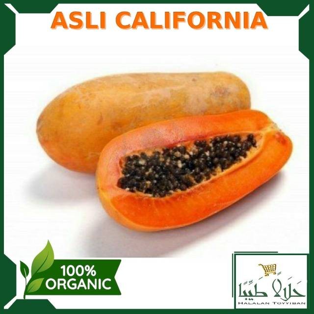 

Pepaya California per 1 Kg - 1,25 Kg | Buah Segar Per 1 Buah