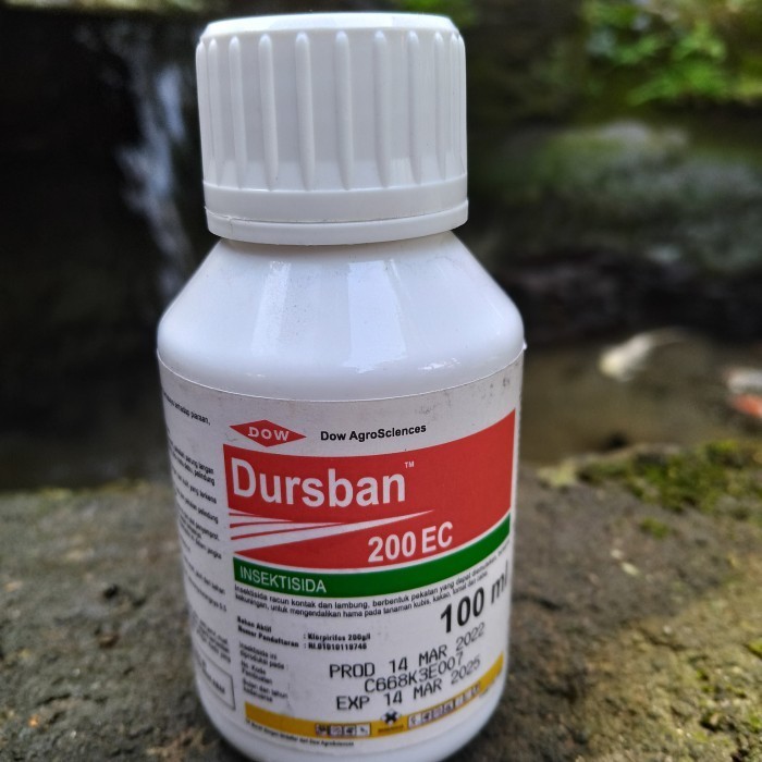 Obat Pembasmi hama Serangga Tanaman Inteksida Dursban 100Ml