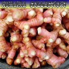

Lengkuas Segar atau Laja Bumbu bisa herbal