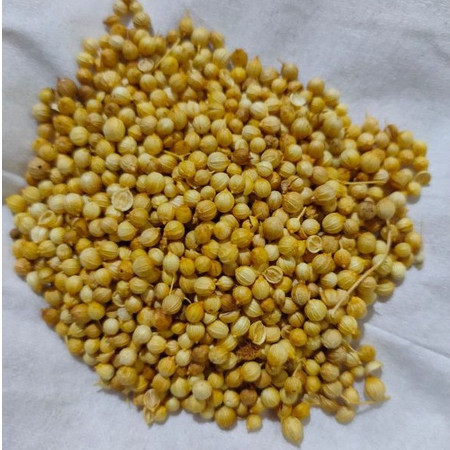 

Biji Ketumbar Bulat / 100 % Asli / Bumbu Dapur / BD / R O