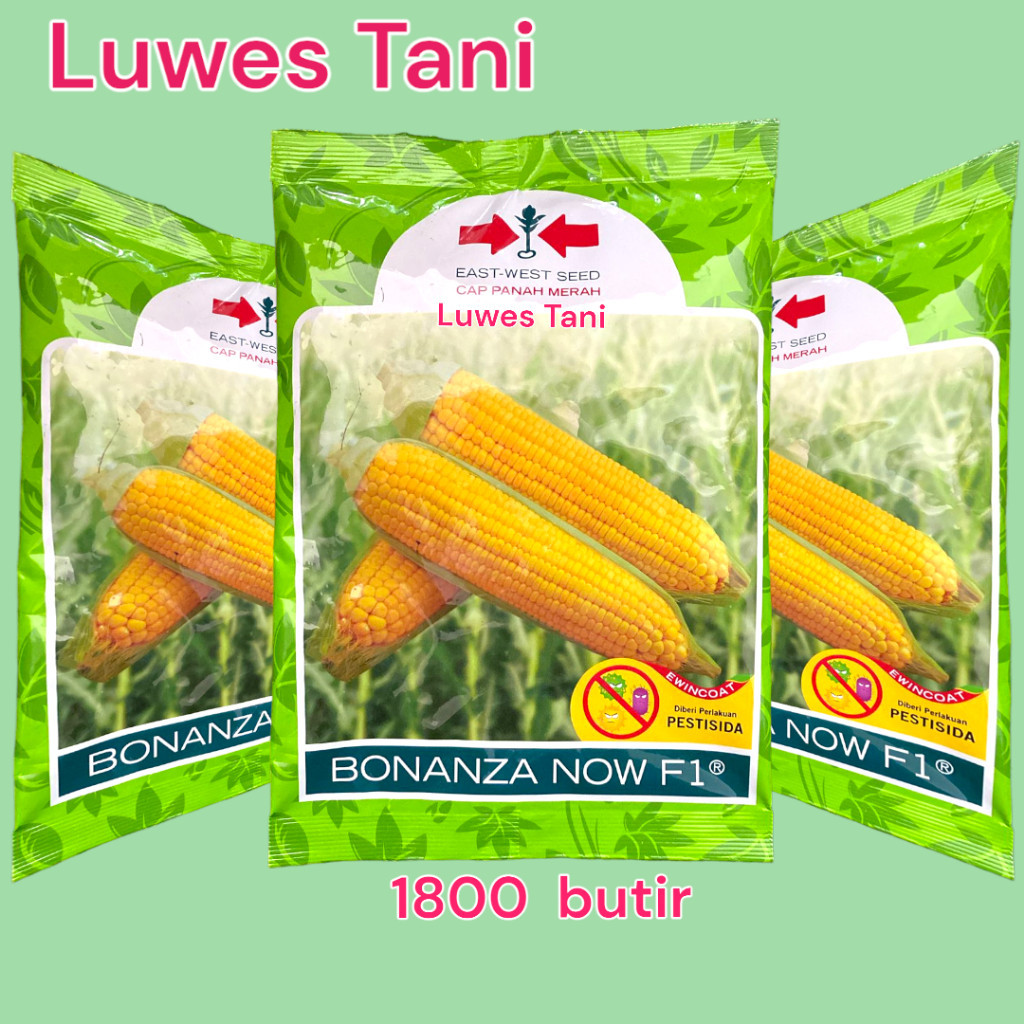 LM11H BONANZA NOW F1 1800 butir  bonanza f1 jagung manis