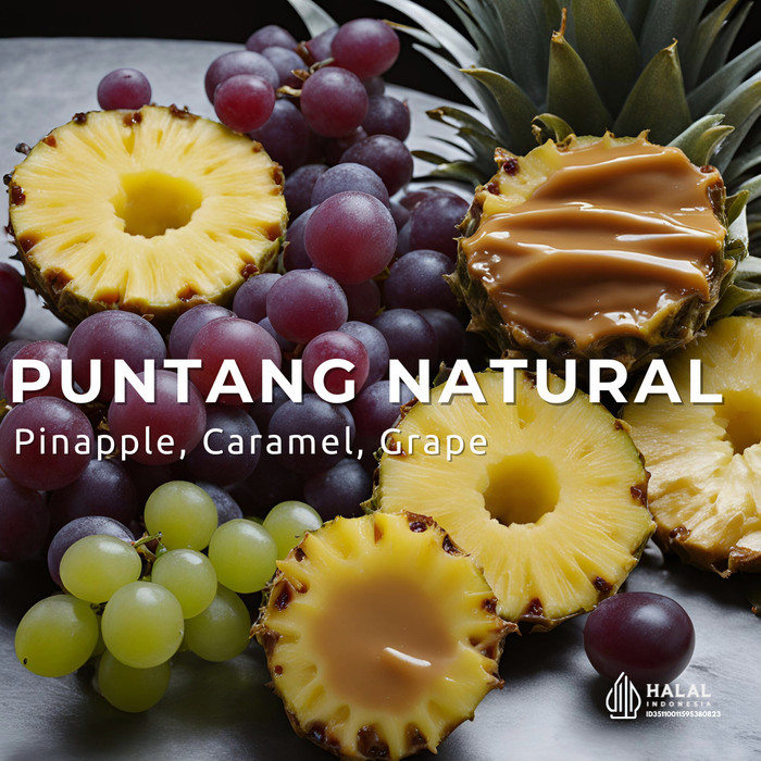 

Puntang Typica Natural - Biji Kopi Specialty Coffee Manual Brew