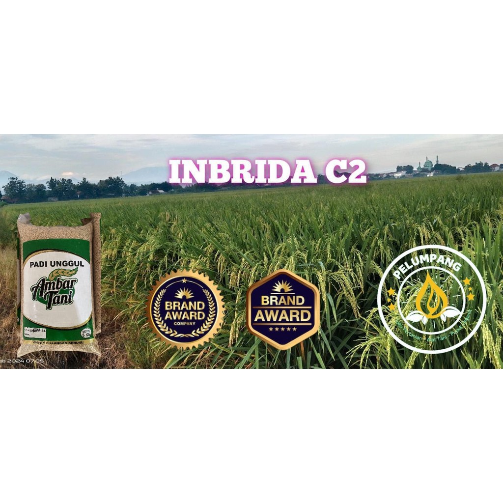 PADI Benih padi inbrida C2 kemasan 5kg original