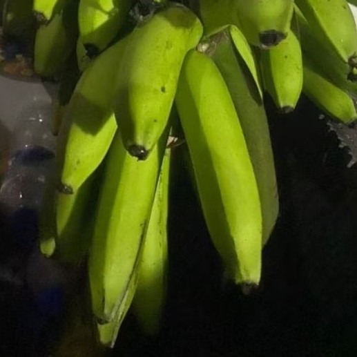 

Buah Pisang Mentah PB 100 Gr Pisang Bangkaulu Fresh