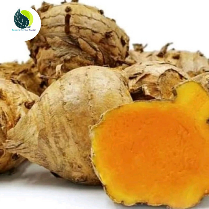 

Promo temulawak segar 1kg Herbal COD