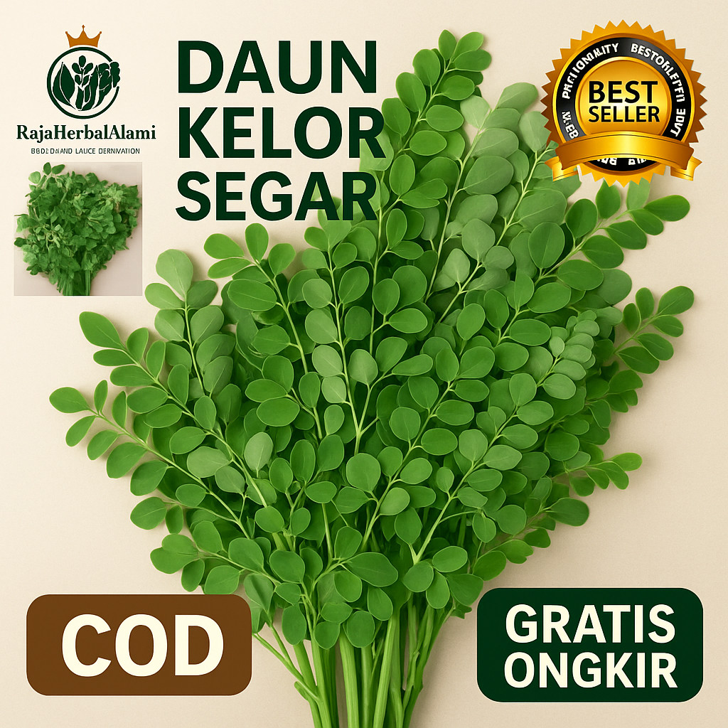 

Daun Kelor Segar Per 1 Helai – Herbal Superfood Alami Kaya Nutrisi & Antioksidan [GRATIS ONGKIR]