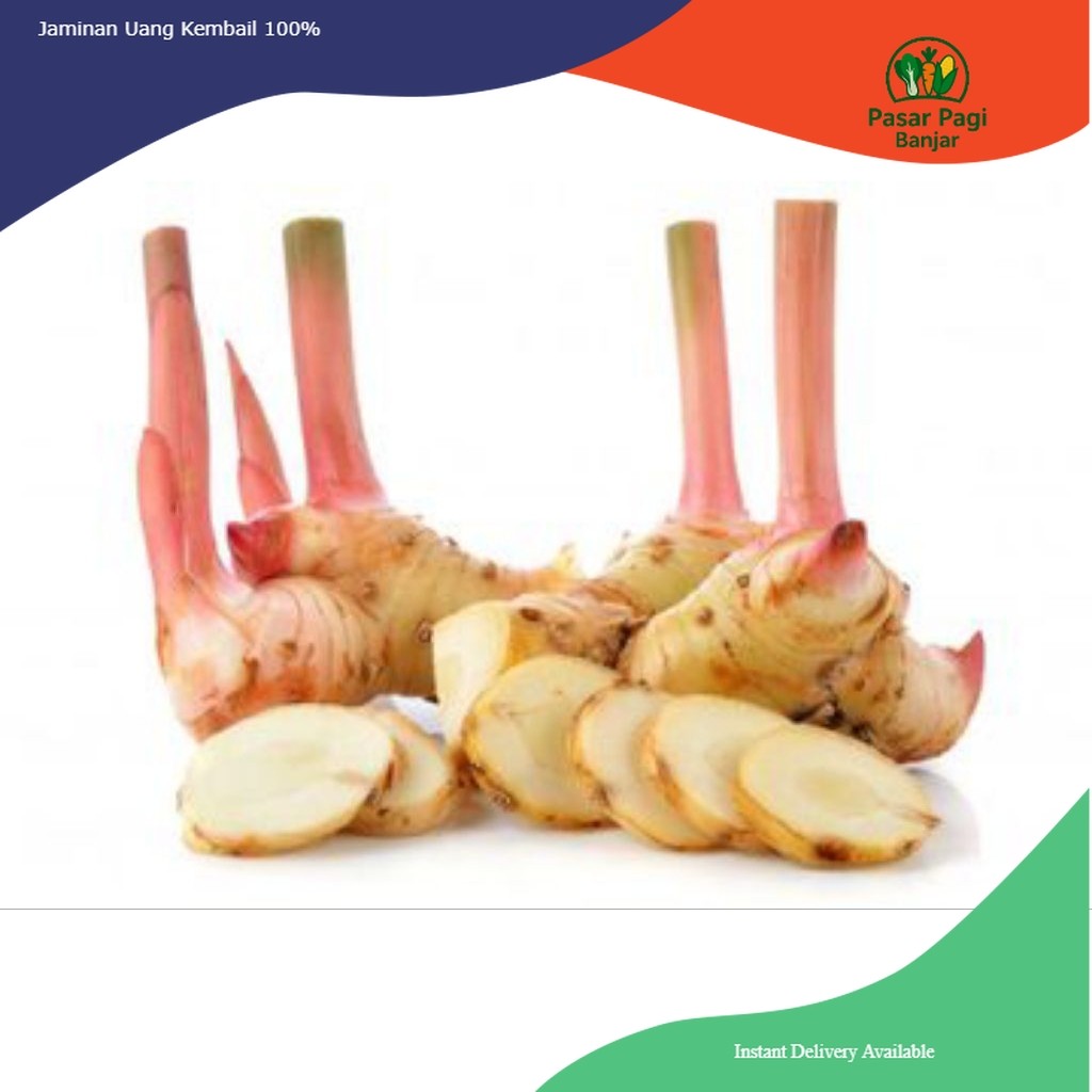 

Laos / Lengkuas / Berat 1 kg 500 gram 250 gram / Bumbu Dapur