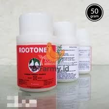 Rotton F – Perangsang Akar untuk Stek & Cangkok Tanaman