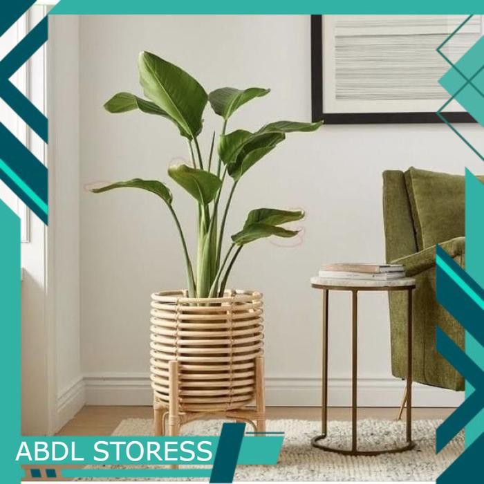 STANDING POT ROTAN / POT ROTAN / POT STANDING SET
