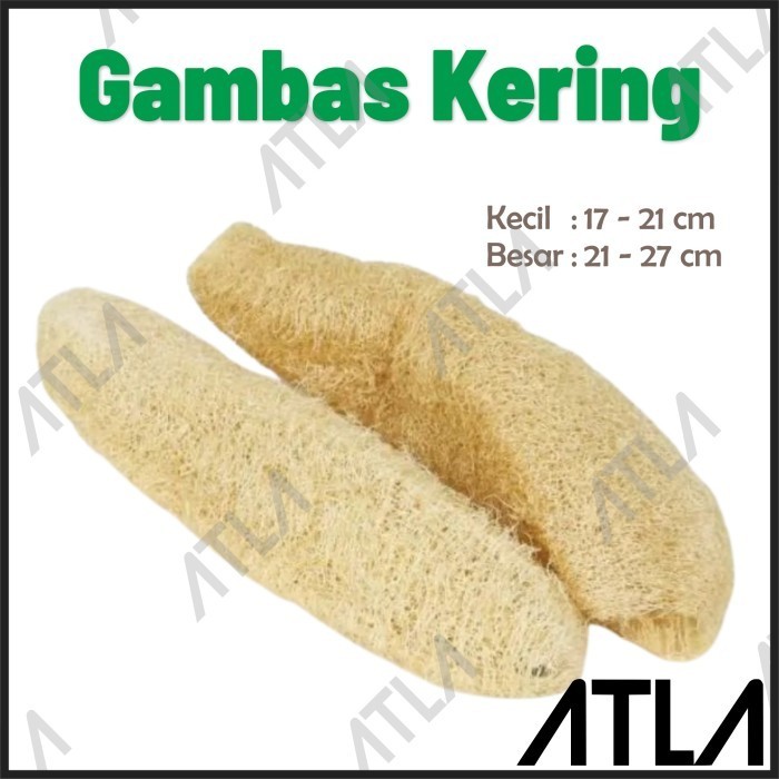 Oyong Gambas Kering Spon Cuci Piring Natural Sabut Serat Serabut Emes Mandi Luffa Loofah Sponge Alam