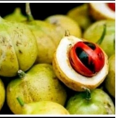 

Redy Buah pala sgar 1kg utuk manisan .