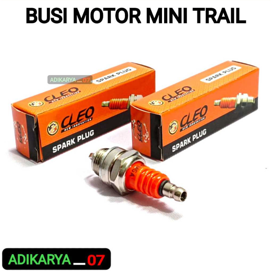 BUSI MOTOR MINI TRAIL BUSI MINI ATV BUSI BPM6A 1 PCS