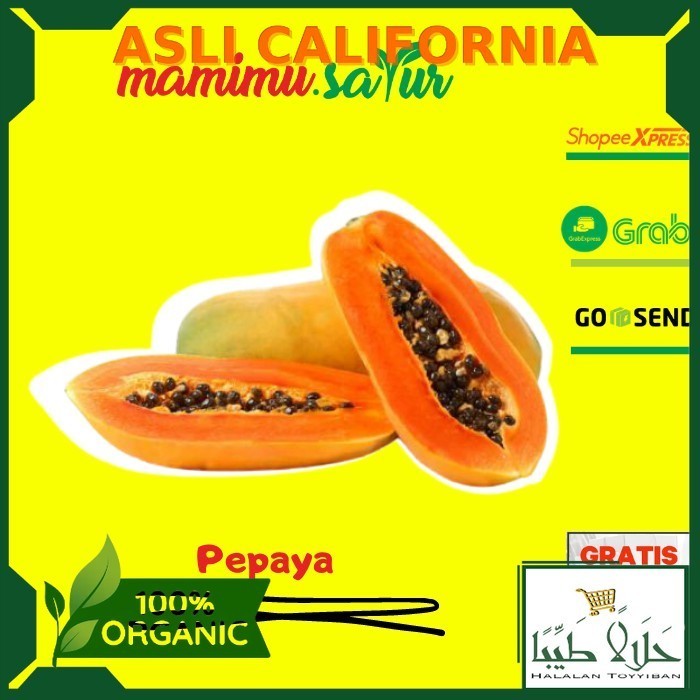 

PEPAYA MATANG 1 PCS PEPAYA MATENG PAPAYA MATANG PAPAYA MATENG SEGAR 1 PCS Per 1 Buah