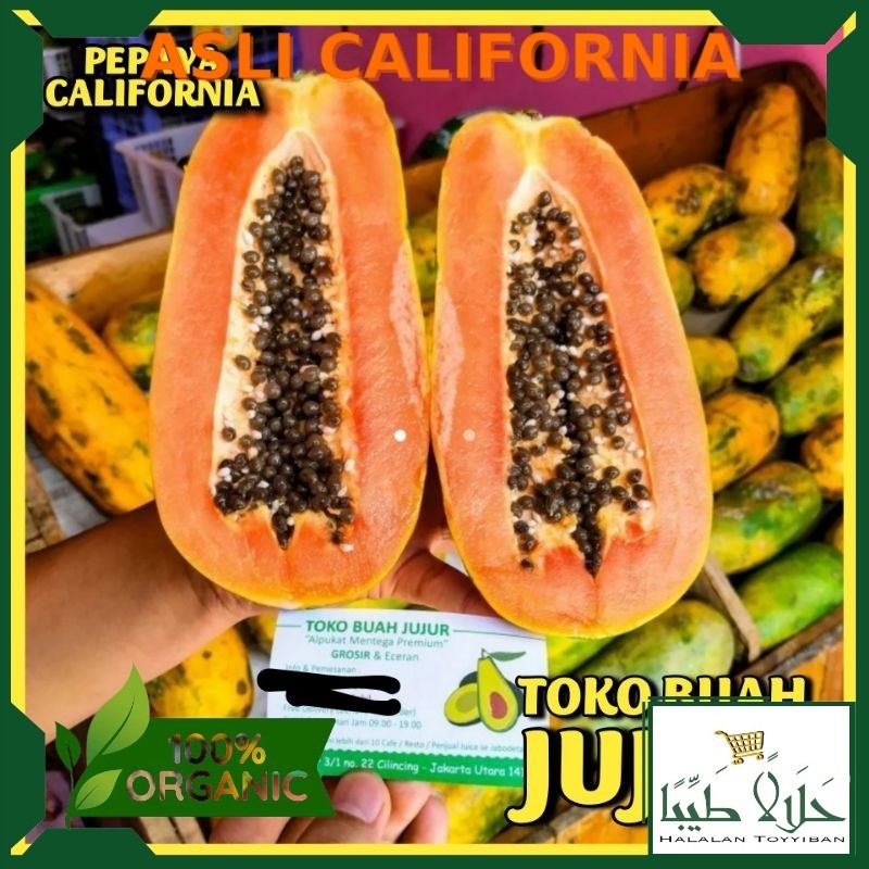 

PEPAYA CALIFORNIA Per 1 Buah