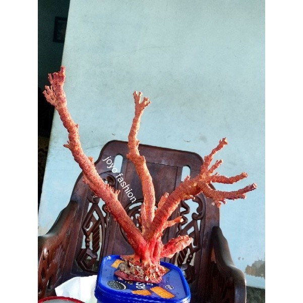 POHON DEKOR BATU CORAL MARJAN LAUT MERAH