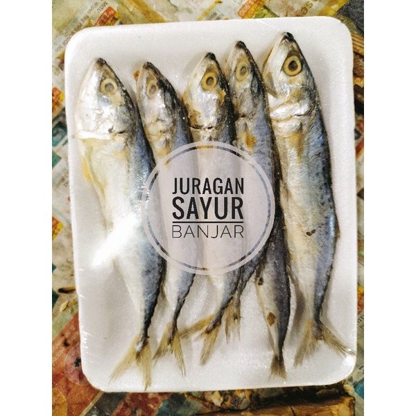 

Ikan Asin Anak Peda Per Pack