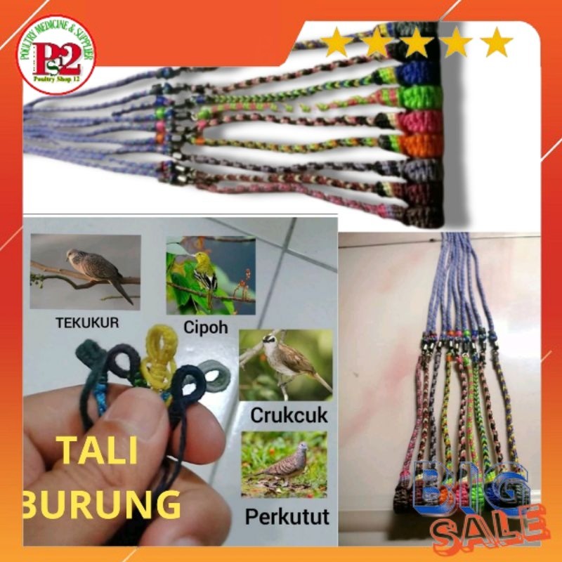 TALI BURUNG TALI PERKUTUT TALI BURUNG TEKUKUR TALI BURUNG BALAM TALI BURUNG CERUCUK TALI  BURUNG KUT