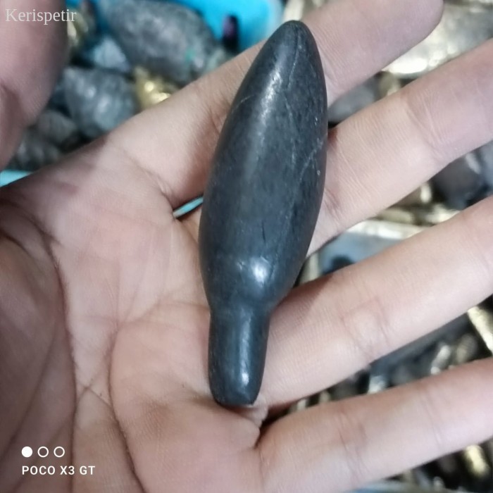 

pusaka fosil kantil kuncup bkn megantoro sengkelat kamarogan murah antik