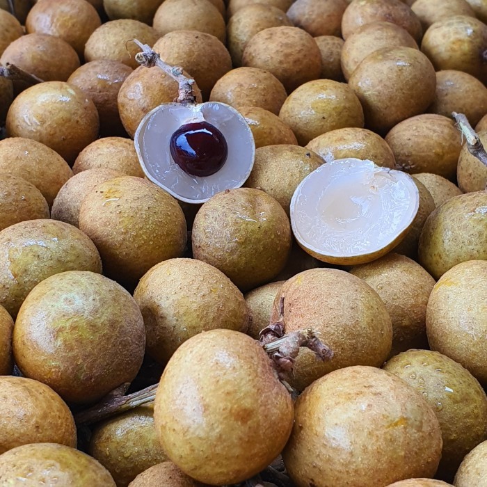 

LONGAN / LENGKENG EMAS THAILAND