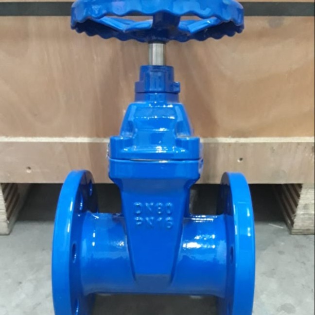 Gate Valve 2” Inch / DN50 Resilient PN16 Ductile Iron