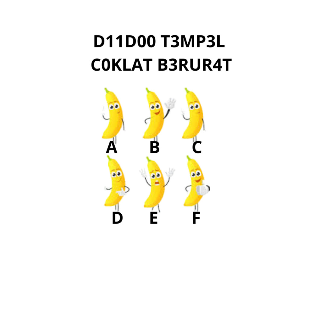 

PISANG CAVENDISH LOKAL