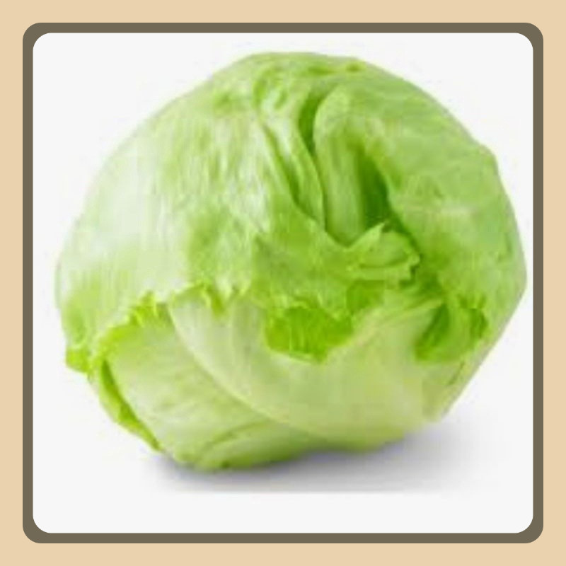 

Lettuce Head Segar Grade A & B 1 Kg